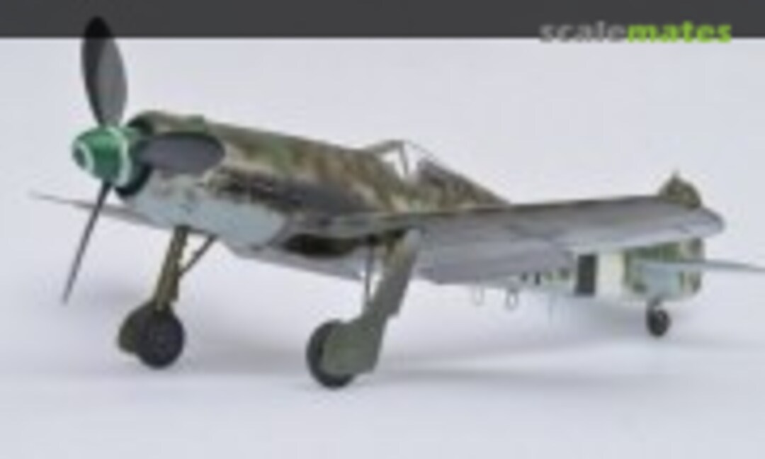 Focke-Wulf Fw 190D-13/R11 1:48