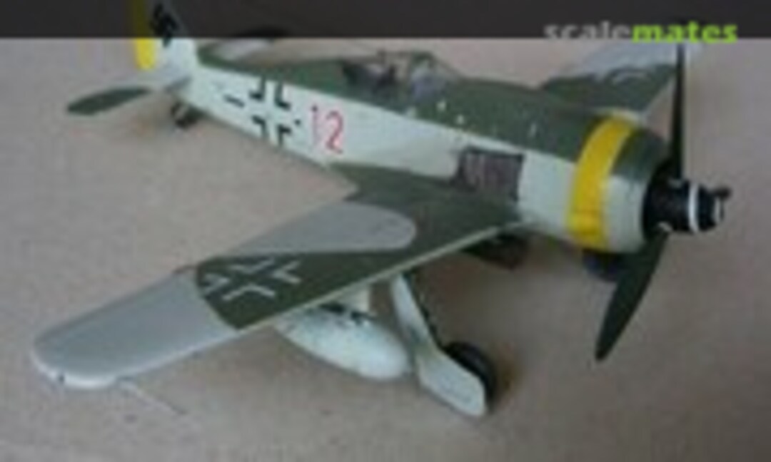 Focke-Wulf Fw 190G-8 1:48