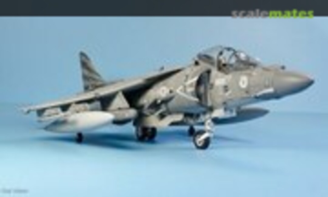 Boeing AV-8B Harrier ll Plus 1:48