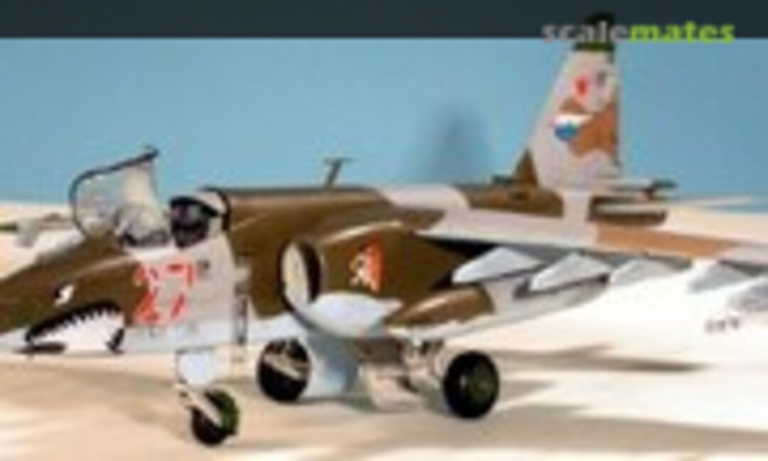 Sukhoi Su-25A Frogfoot 1:48