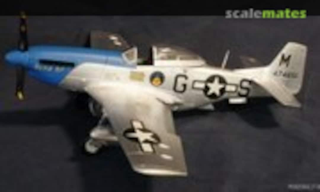 North American P-51D Mustang 1:48