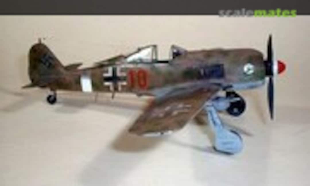 Focke-Wulf Fw 190G-2 1:48