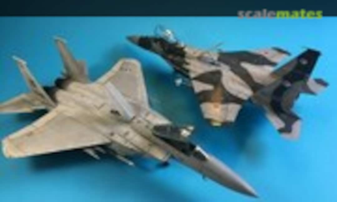 F-15C and F-15DJ 1:72