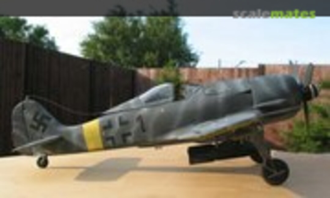 Focke-Wulf Fw 190F-8 1:24