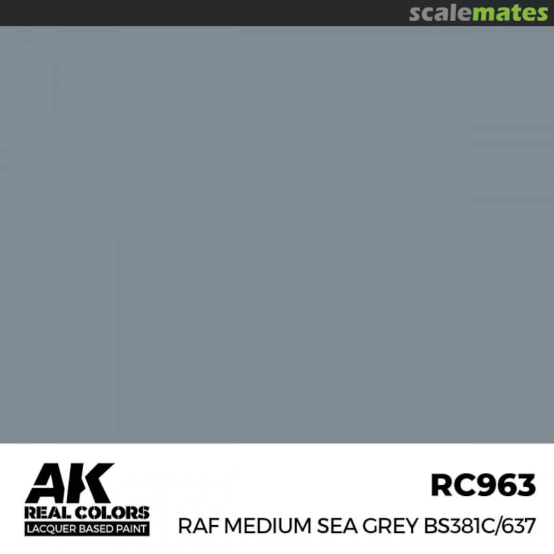 Boxart RAF Medium Sea Grey BS381C/637  AK Real Colors