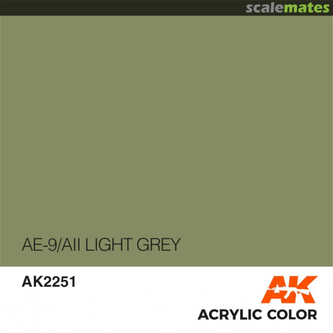 Boxart AE-9/AII Light Grey AK 2251 AK Interactive Air Series