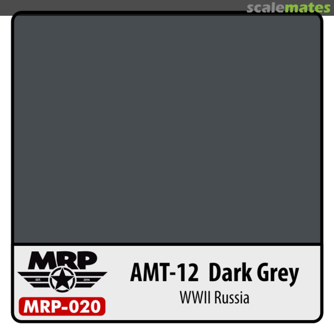 Boxart AMT-12 Dark Grey  MR.Paint