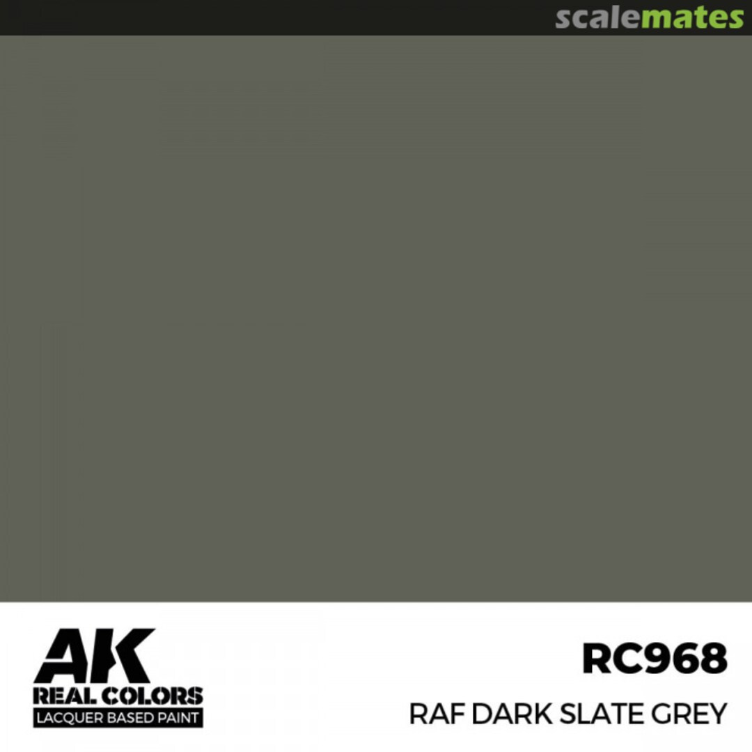 Boxart RAF Dark Slate Grey  AK Real Colors