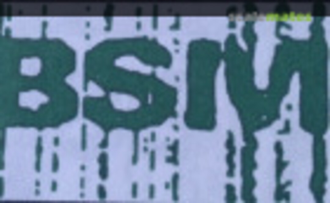 BSM Don't Use Logo