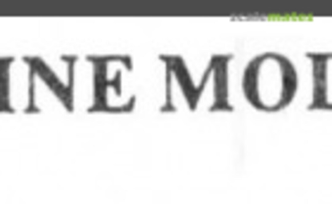 Flyline Models, Inc. Logo