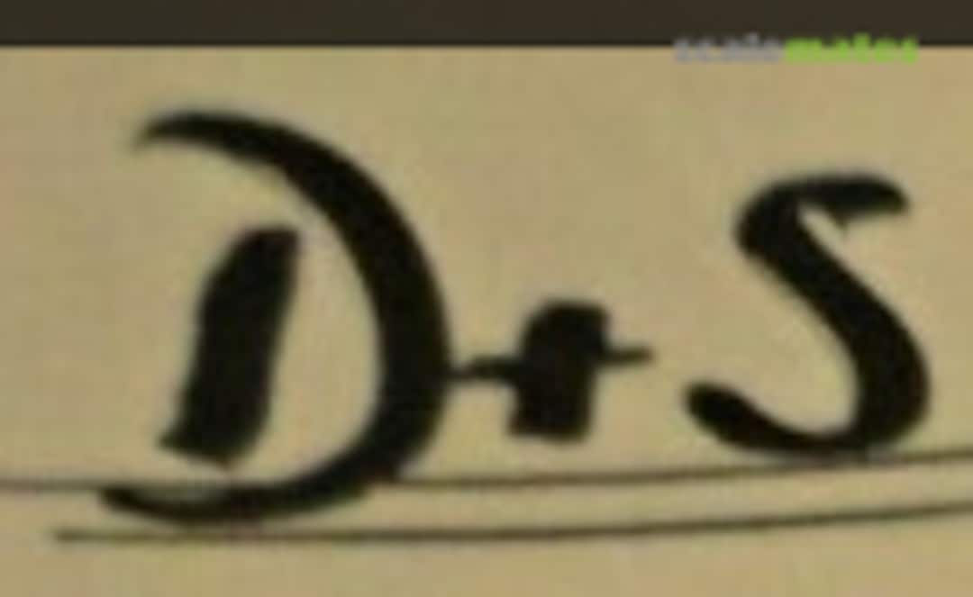 D+S RESIN Logo