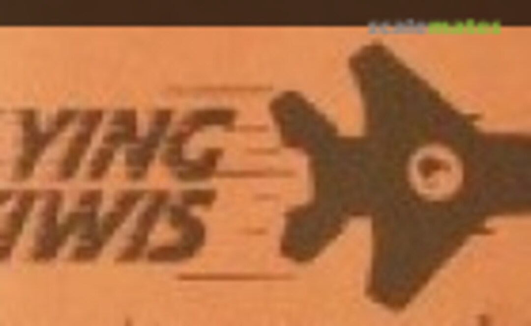 Flying Kiwis Logo