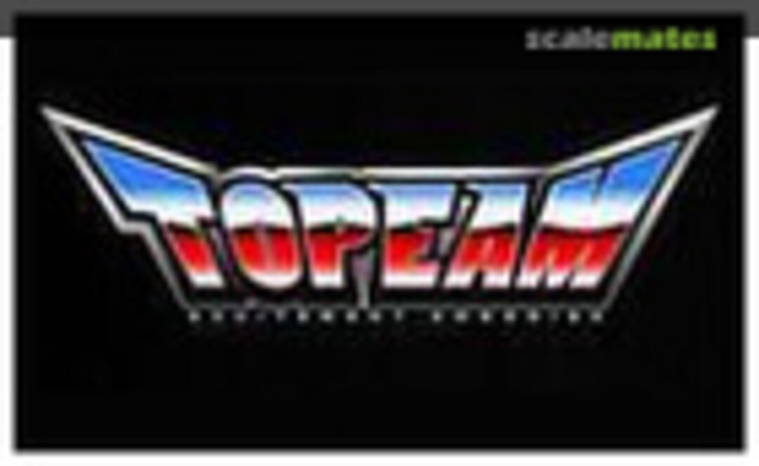 Topeam Logo