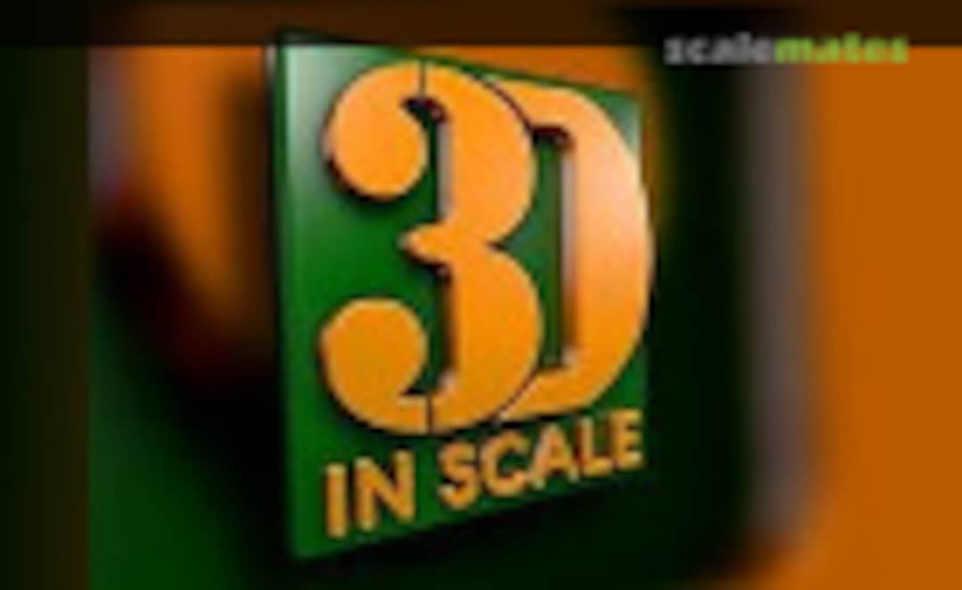 3D in Scale Logo