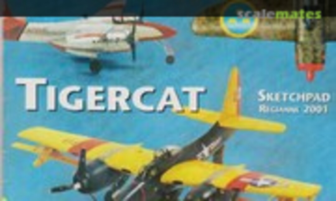 (Scale Aviation Modeller International Volume 03 Issue 06)