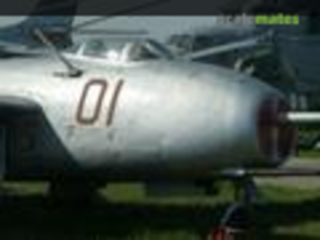 Mikoyan-Gurevich MiG-9 Fargo