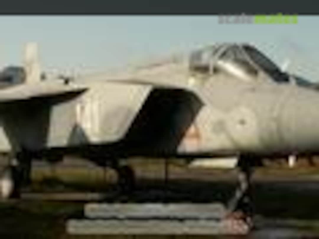 Yak-141 «FREESTILE»