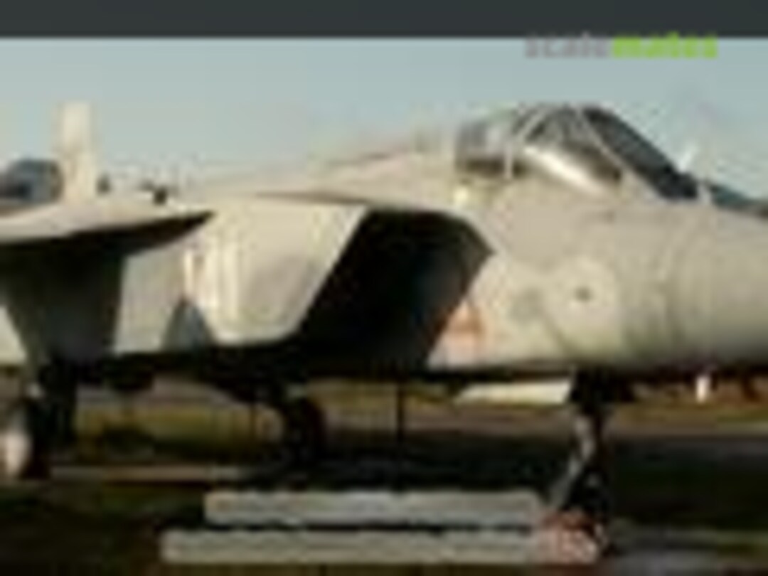 Yak-141 «FREESTILE»