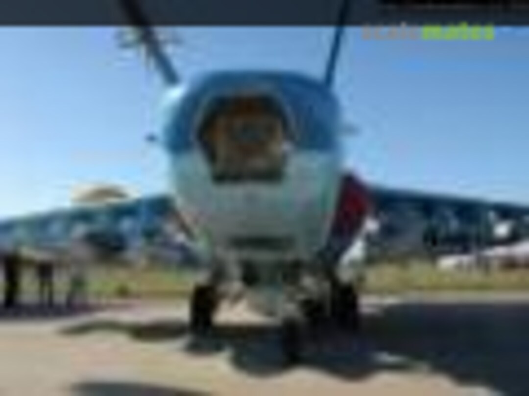 Sukhoi Su-39 Frogfoot