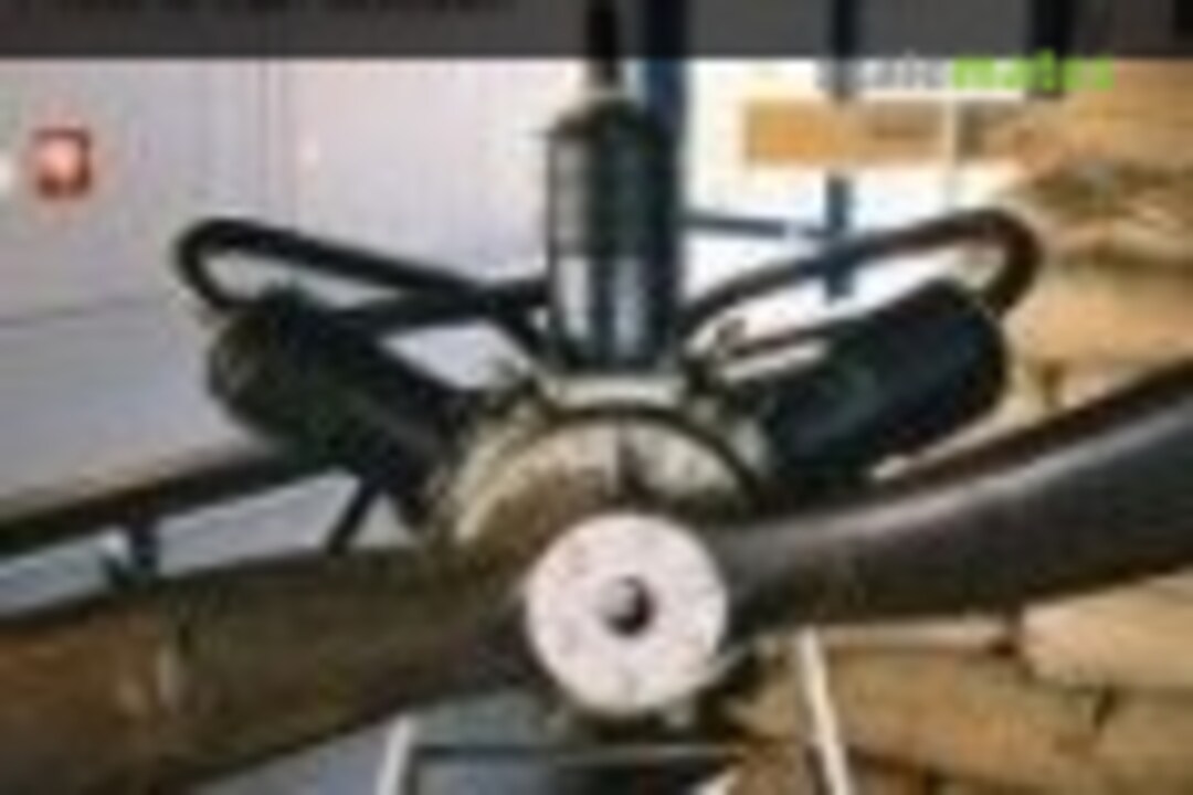 Anzani 3 cyliner engine