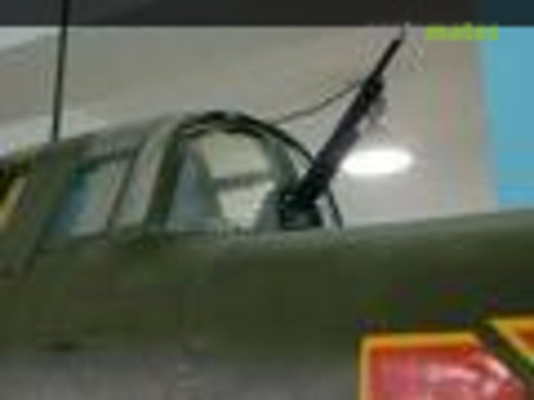 Ilyushin Il-10 Beast